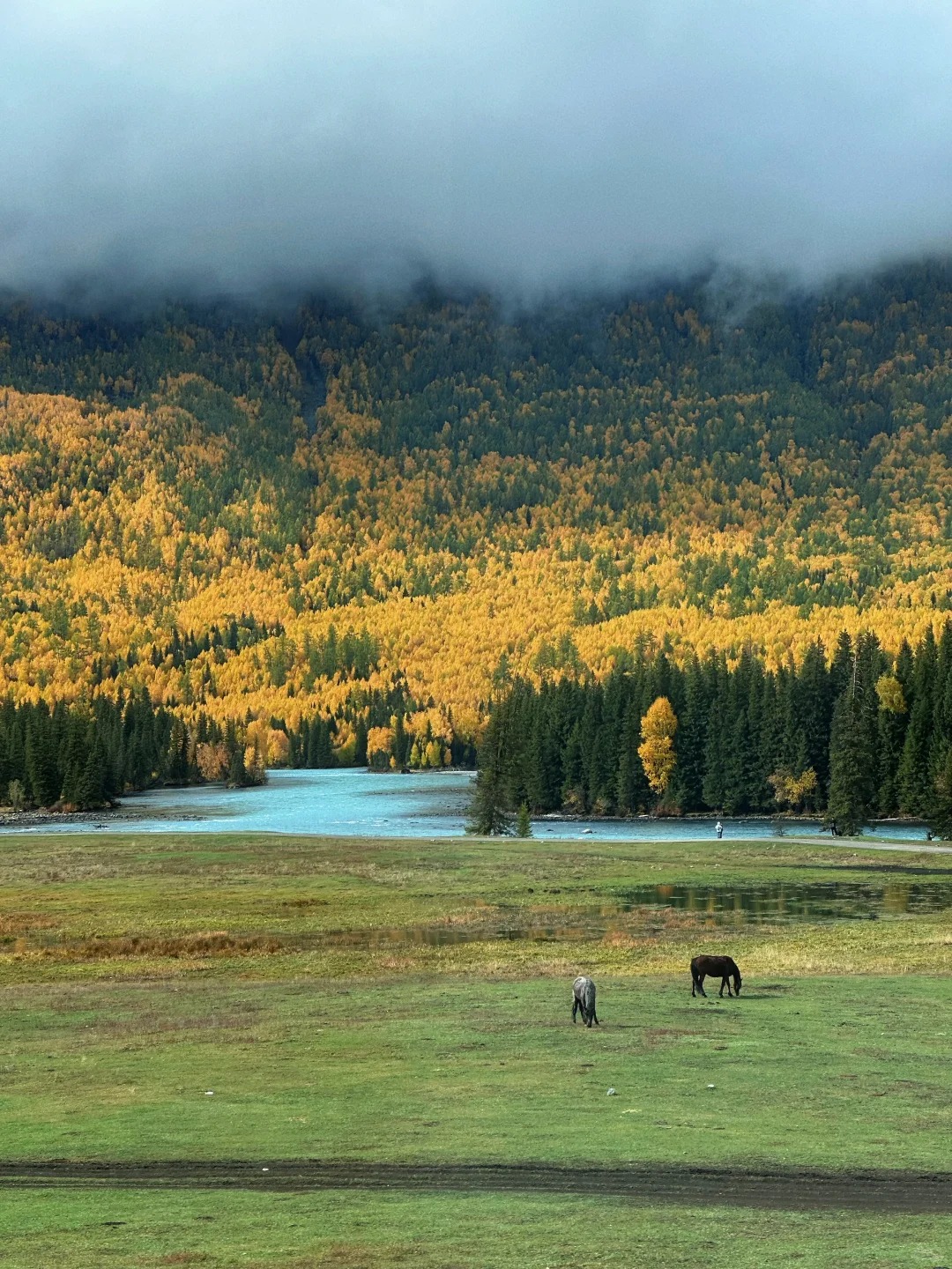 🍂喀纳斯的秋景 值得冲！🏔️_1_艾拉很i_喀纳斯-来自52tours 我爱旅游网